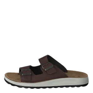 484-7764 Dark Brown