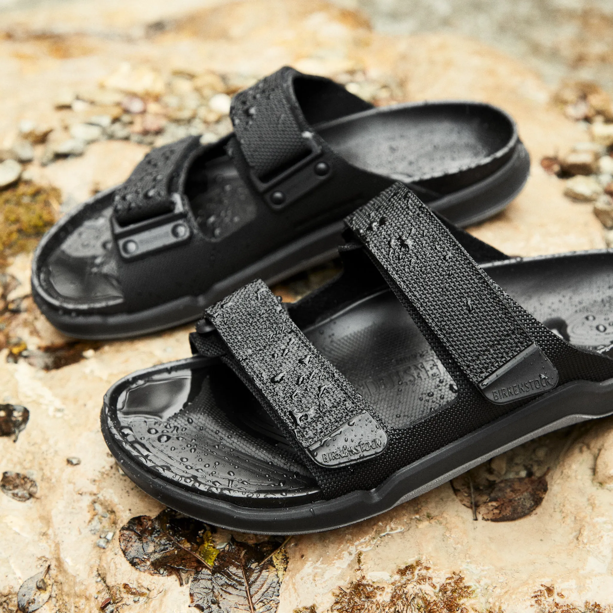 ATACAMA WP - BLACK - BIRKO-FLOR
