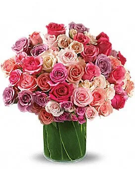 Rose Rapture
