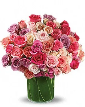 Rose Rapture