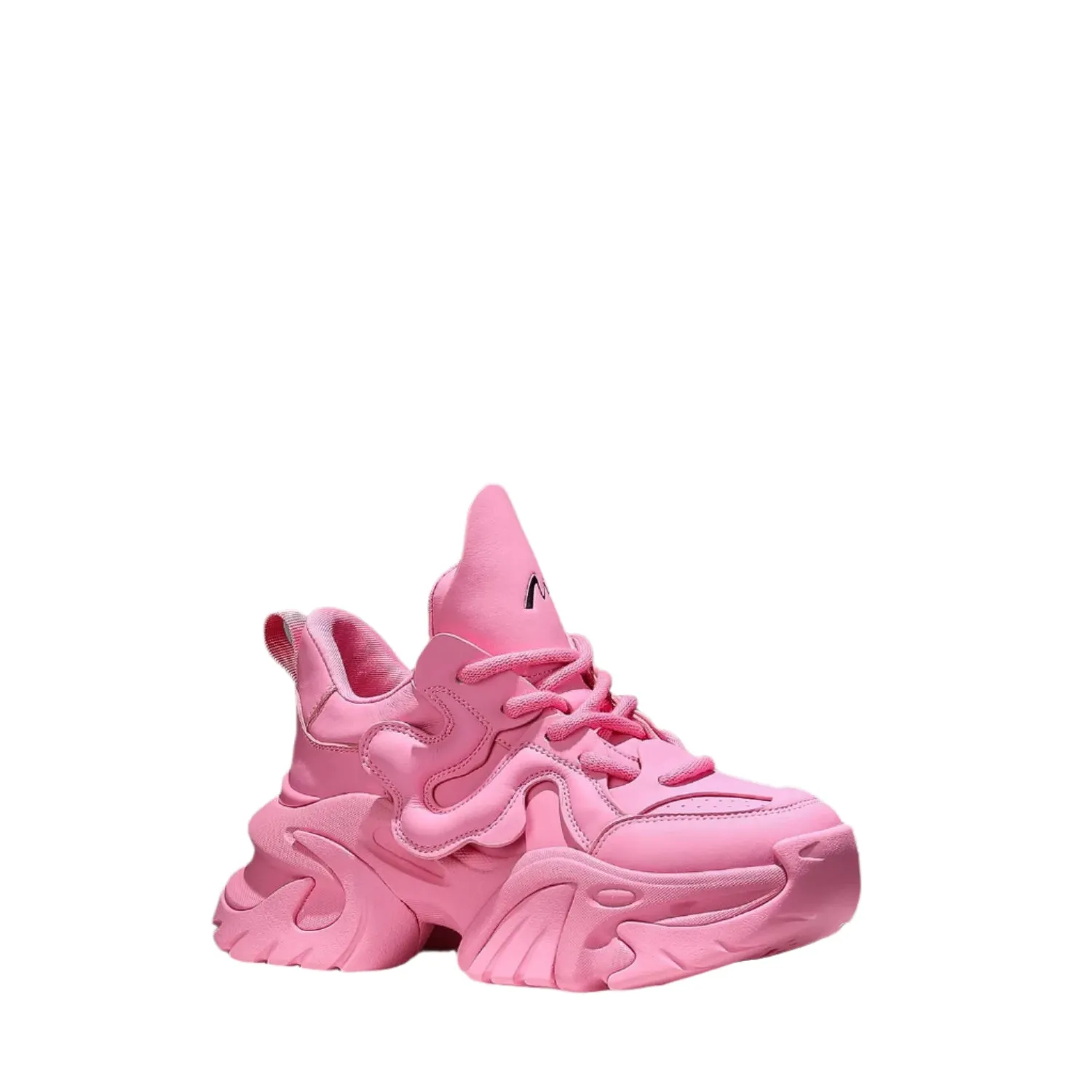 Trendy High Rise Thick Bottom Casual Shoes for Women