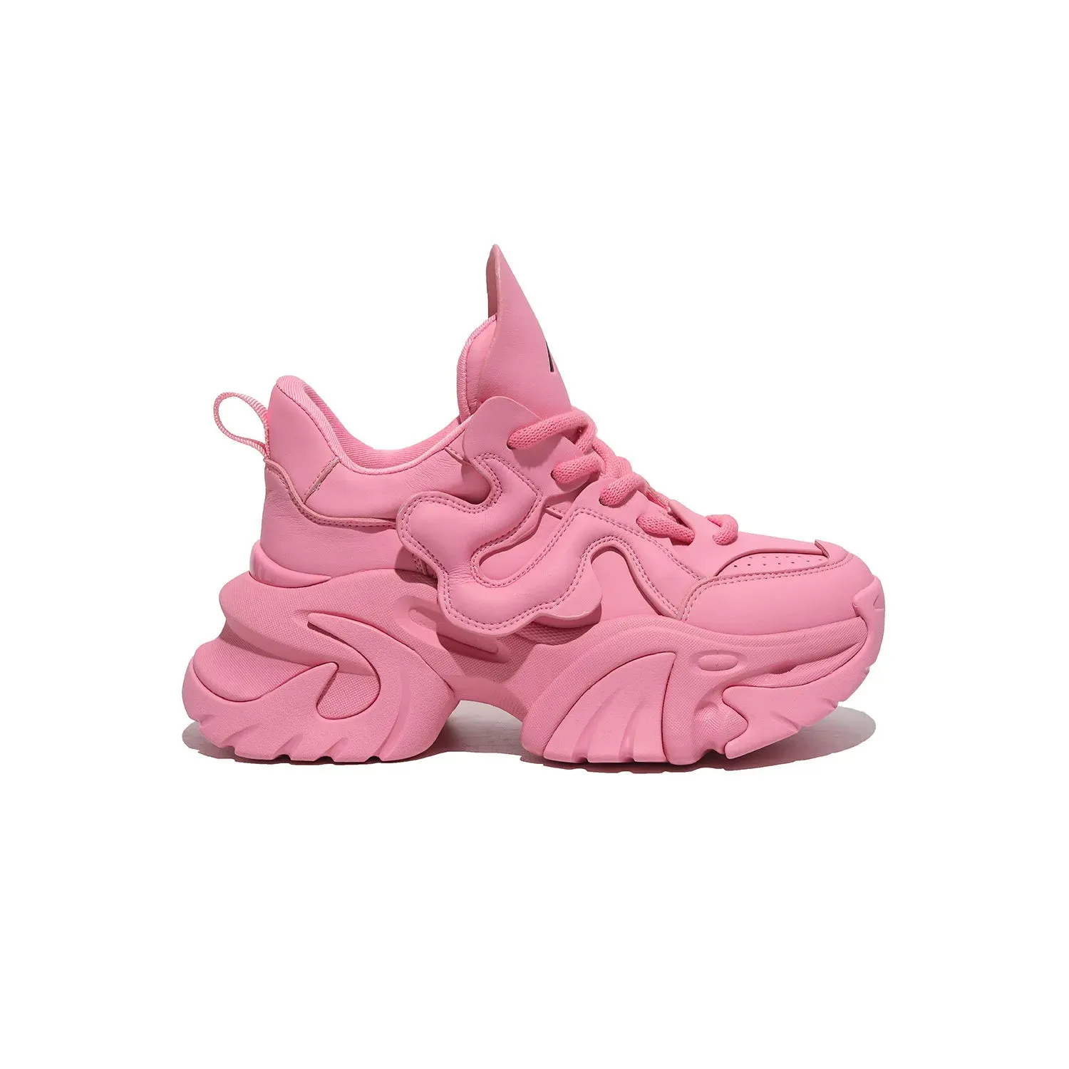 Trendy High Rise Thick Bottom Casual Shoes for Women